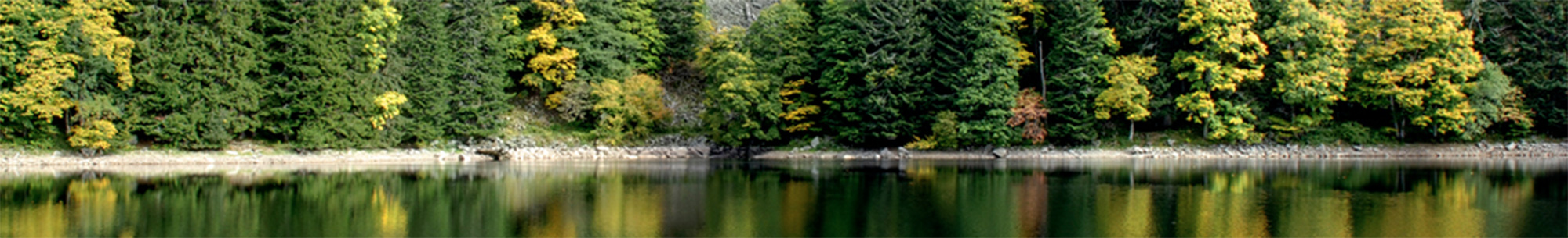 L'eau et l'environnement