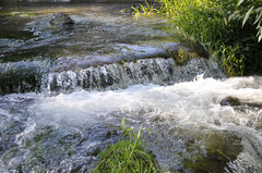 Préserver l'environnement