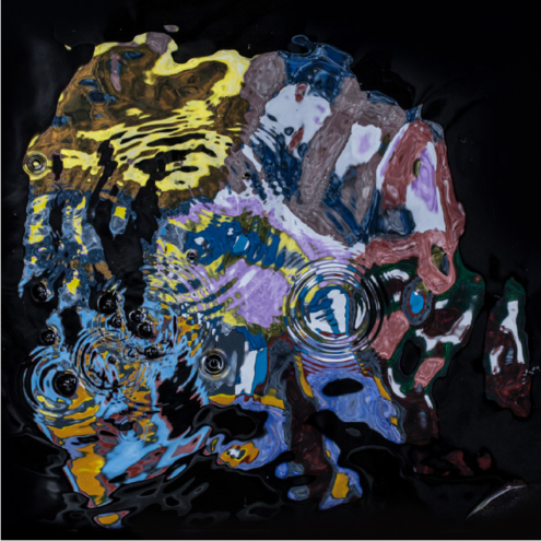 L'exposition "L'inconscient déplié" photographies Nicolas ROGER